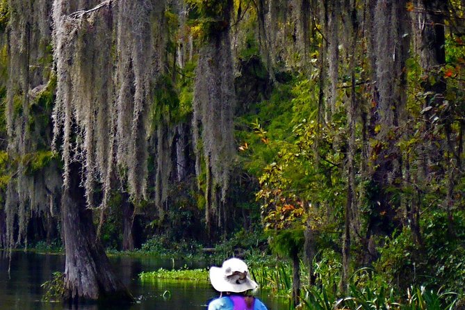 Wekiva River Guided Kayak Tour - Paddling the wilderness boundary for seven miles