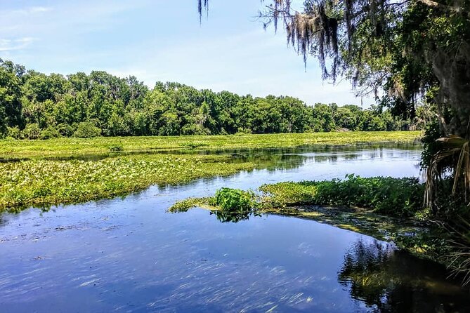 Wekiva Wildlife Kayaking Adventure Tour - What the two-hour route feels like