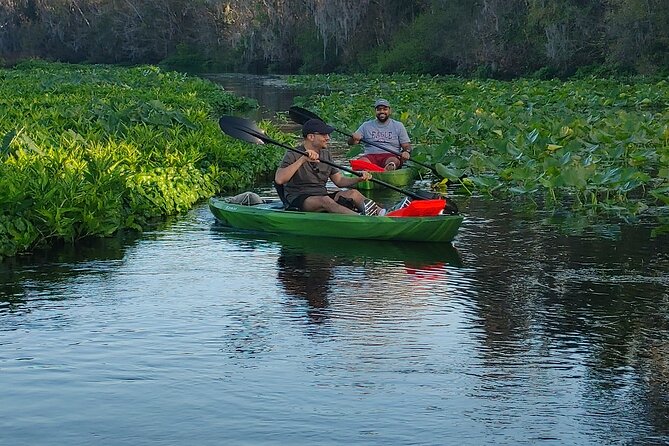 Wekiva Wildlife Kayaking Adventure Tour - Aaron’s guiding and the small-group experience