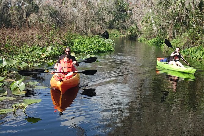 Wekiva Wildlife Kayaking Adventure Tour - Kayaks, safety gear, and what you need to bring