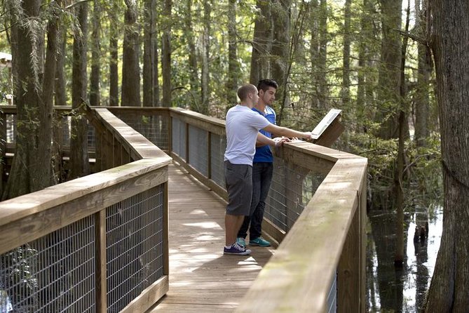 Wild Florida Adventure Package Tour with Hotel Pickup & Lunch - The airboat ride through Florida wetlands