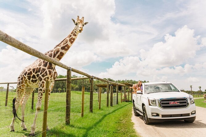 Wild Florida Drive-Thru Safari and Gator Park Admission - A self-drive safari instead of a bus tour