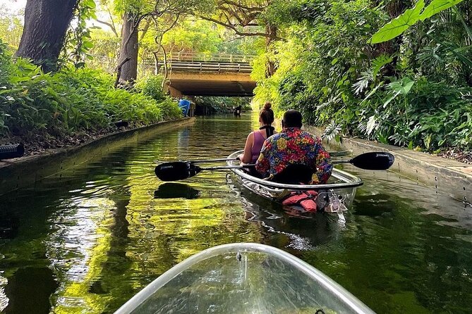 Winter Park Chain of Lakes Day Time Clear Kayak Paddle - Wildlife and the quieter side of Orlando